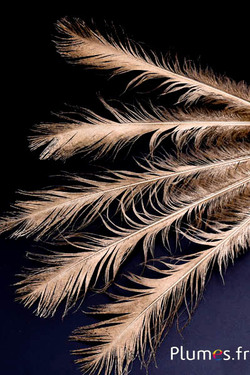 Pfau grün - 28-32 cm - gold